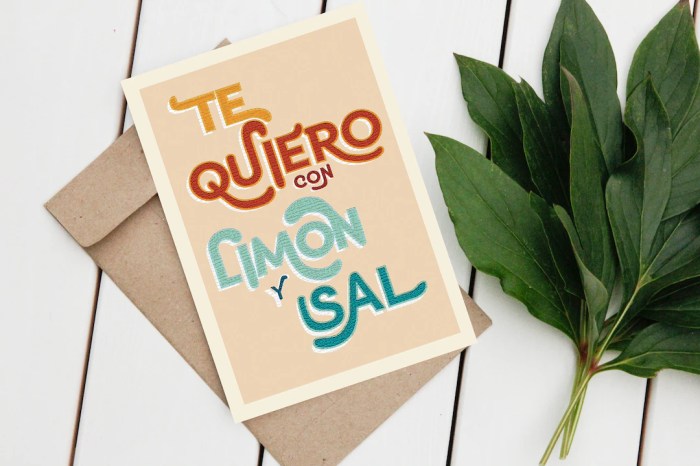 Limon y sal lyrics in english