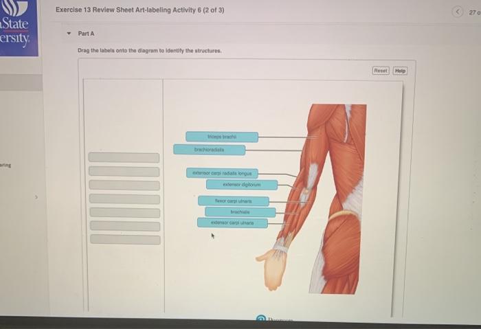 Onto drag tissues labeling classification bone transcribed