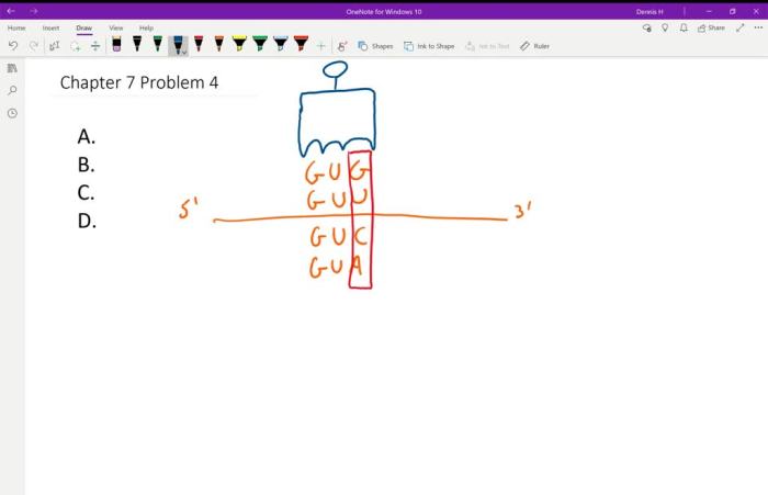 Table uac anticodon amino acid cac auc trna works life guu solved