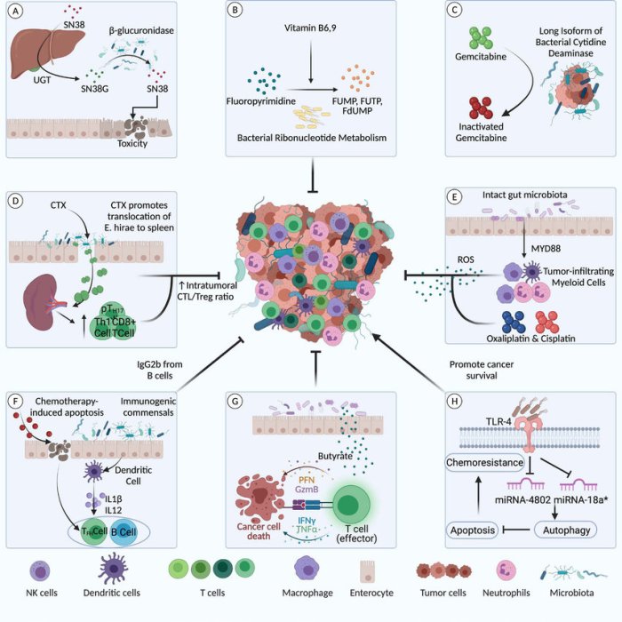 Select characteristics exhibited by exotoxins but not exhibited by endotoxins