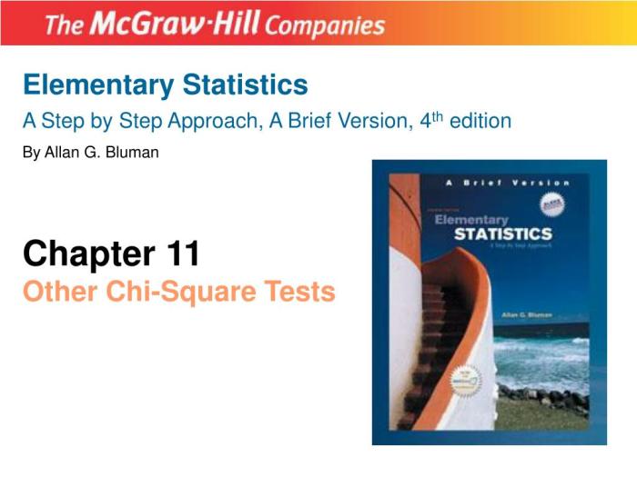 Elementary statistics a step by step approach pdf